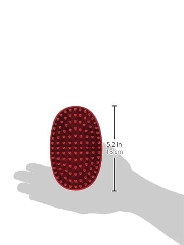Le Salon Essentials Kauçuk Bakım Fırçası, Döngü Saplı, Kırmızı