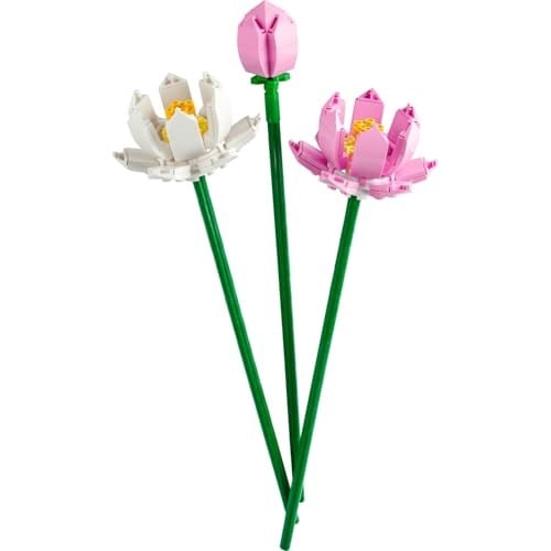 LEGO Botanicals Lotus Çiçekleri 40647 – 8 Yaş ve Üzeri Çocuklar için 2 Tam Açmış Lotus Çiçeği ve 1 Tomurcuk İçeren Yaratıcı Oyuncak Yapım Seti, Çocuklar için Dekoratif Çiçek Hediye Fikri (220 Parça)