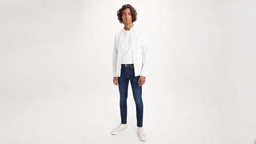 Levis Classic Western Gömlek Gömlek Erkek