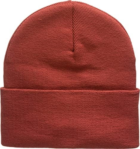 Levis® Wordmark Beanie Mattrot Tek Beden