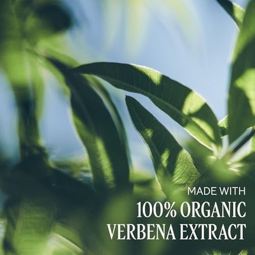 LOCCITANE Shea Butter Liquid Hand Soap Enriched with Organic Verbena 16.90 fl oz