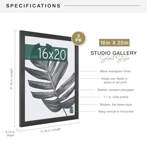 MCS Stüdyo Galerisi Çerçevesi, Siyah Ahşap Granül, 40,6 x 50,8 cm, 2 paket