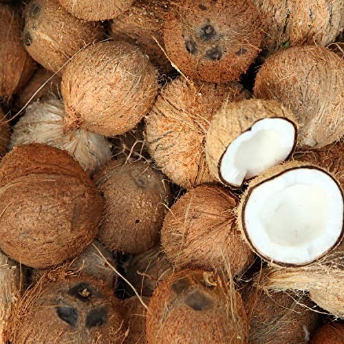 Mecitefendi Hindistan Cevizi Yağı 20 Ml