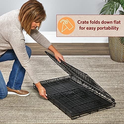 MidWest Homes for Pets Köpek Sandığı Yaşam Aşamaları 36 Çift Kapılı Katlanır Metal Köpek Sandığı | Bölücü Panel, Zemin Koruma Ayakları, Sızdırmaz Köpek Tavası | 90,5 cm x 62,1 cm x 55,7 cm, Orta