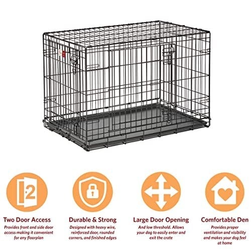 MidWest Homes for Pets Köpek Sandığı Yaşam Aşamaları 36 Çift Kapılı Katlanır Metal Köpek Sandığı | Bölücü Panel, Zemin Koruma Ayakları, Sızdırmaz Köpek Tavası | 90,5 cm x 62,1 cm x 55,7 cm, Orta