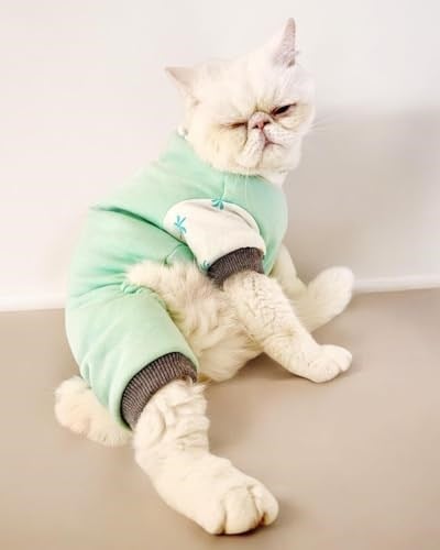 Minty Palm Kalın Penye Kedi Tulum Pijama L