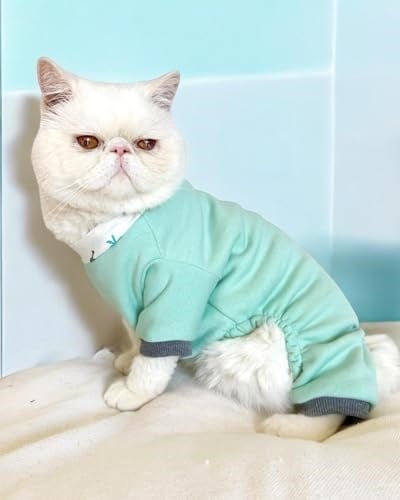 Minty Palm Kalın Penye Kedi Tulum Pijama L