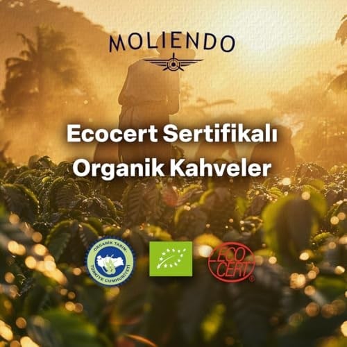 Moliendo Finest Coffe Organic Guatemala SHB Yöresel Kahve (Çekirdek) 250 g