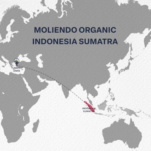 Moliendo Finest Coffee Organic Indonesia Sumatra Yöresel Kahve (Çekirdek) 250 g