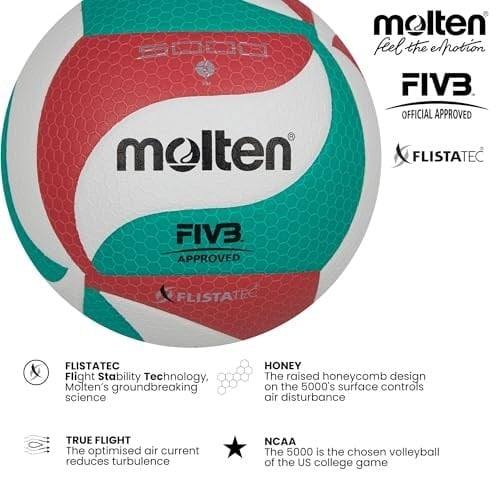 Molten Volleyball