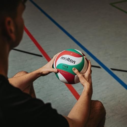 Molten Volleyball