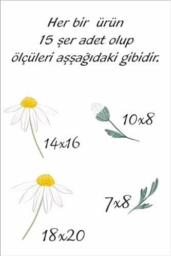 MSticker-Sevimli Papatyalar Çocuk Bebek Odası Sticker Seti