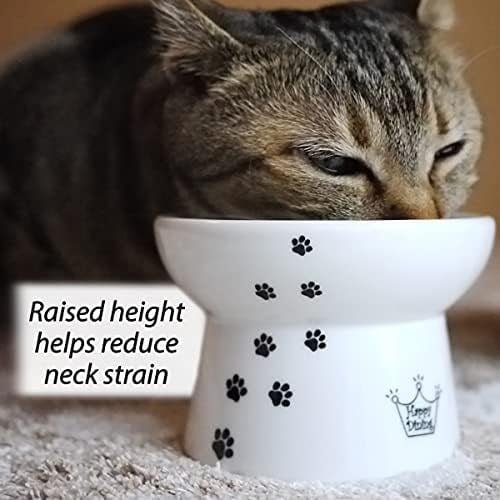 Necoichi Yükseltilmiş Stressiz Kedi Maması Kasesi, Yükseltilmiş, Geri Akış Önleme, Bulaşık Makinesi ve Mikrodalgada Kullanılabilir (Kedi, Normal)