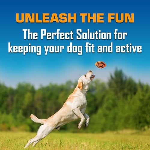 Nerf Köpek Spiral Squeak Futbol Açık Hava Köpek Oyuncağı, 5 İnç Köpek Futbolu Gıcırtılı Oyuncak, Orta ve Büyük Irklar için, Turuncu