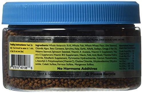 New Life Spectrum Cichlid Formula 60gr
