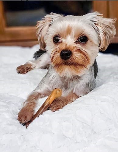 Nylabone Cheeseburger ve Elma Aromalı Köpek Çiğneme Kemiği S