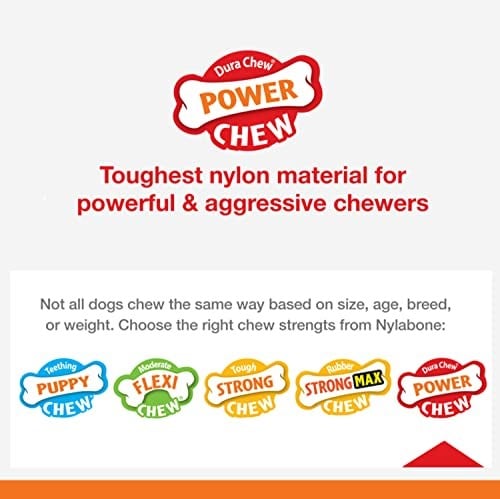 Nylabone Cheeseburger ve Elma Aromalı Köpek Çiğneme Kemiği S