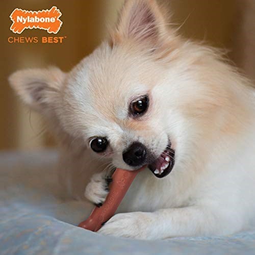 Nylabone Ec Domuz Pastırması Aromalı Köpek Çiğneme Kemiği XS - Seçenekler: Bacon/Bone, Beef Jerky & Chicken, Pastırma ve Biftek, Tavuk...
