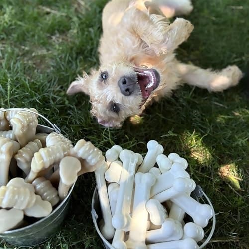 Nylabone Ec Tavuk Aromalı Köpek Çiğneme Kemiği M