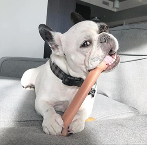 Nylabone Extreme, köpekler için çiğneme ve diş oyuncağı, köpek kemikleri, agresif/güçlü çiğneme, pastırma tadı, 23 kga kadar büyük köpekler için - Seçenekler: große, küçük
