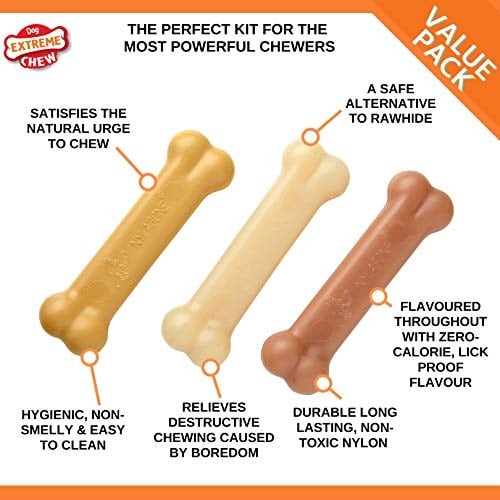 Nylabone Fıstık Ezmesi, Tavuk ve Domuz Pastırması Aromalı Köpek Çiğneme Seti S