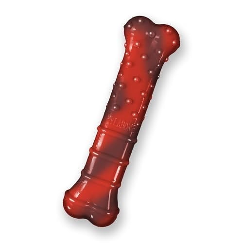 Nylabone Lezzet Frenzy Güç Çiğnemek Köpek Oyuncak, Düzenli, Sığır Eti, ABDde yapılan - Bedenler: XS, S, M, L, XL