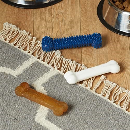 Nylabone Tavuk Aromalı Yavru Köpek Başlangıç Kiti S