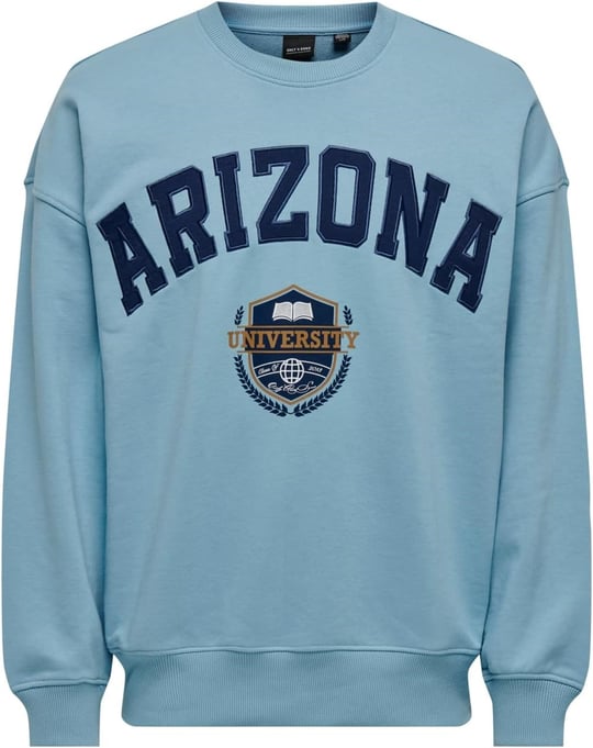 Only & Sons ONSLAWSON LIFE VINTAGE CREW NECK SWEAT Sweatshirt Erkek