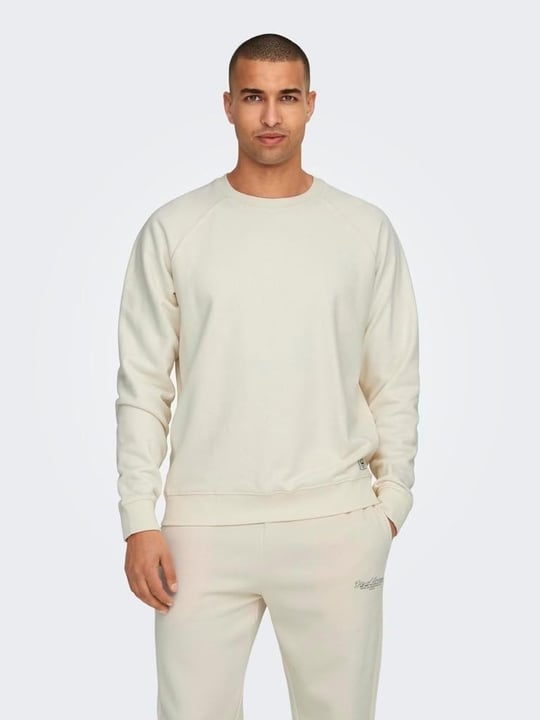 Only & Sons Onsmichi Life Reg Crew Neck Sweat Sweatshirt Erkek
