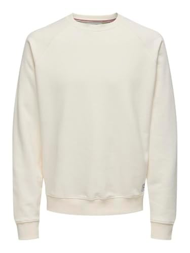 Only & Sons Onsmichi Life Reg Crew Neck Sweat Sweatshirt Erkek