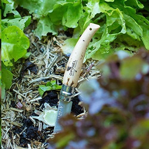 Opinel Inox 8 No Kayın Saplı Paslanmaz Bağ Çakısı