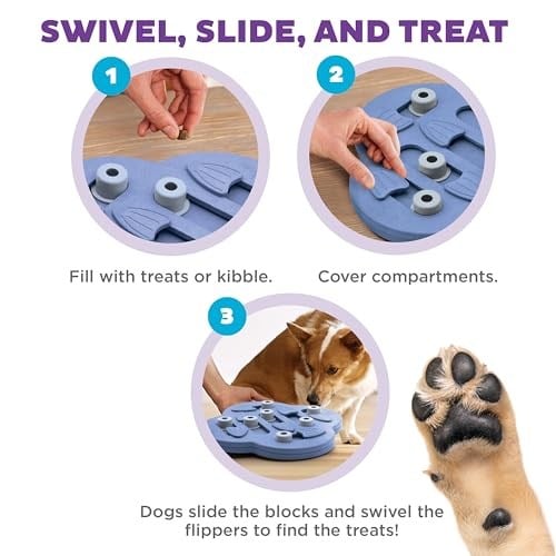 Outward Hound Nina Ottosson by Dog Hide N Slide Purple Interactive Treat Puzzle Dog Toy - Seçenekler: Seviye 2 (Orta Seviye), Seviye 4 (Uzman), Ekstra parçalar...
