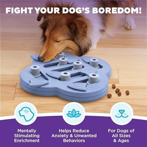 Outward Hound Nina Ottosson by Dog Hide N Slide Purple Interactive Treat Puzzle Dog Toy - Seçenekler: Seviye 2 (Orta Seviye), Seviye 4 (Uzman), Ekstra parçalar...