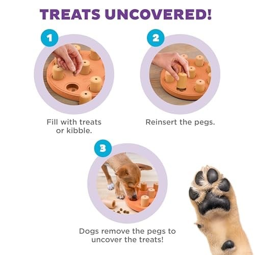 Outward Hound Nina Ottosson Dog Smart - Leckerlis için etkileşimli köpek oyuncağı - kompozit malzemeden - turuncu - Seçenekler: Level 1 (Einfach), 1 Stück (1er Pack)...