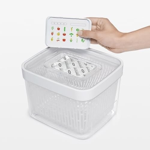 OXO Good Grips Greensaver Aktif Karbon Filtre - Gıda Saklama Kutuları için 4 Yedek Filtre
