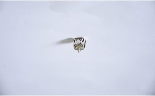 Pandora, Charm Bileklik Uyumlu, Gümüş, Charm takıNM157