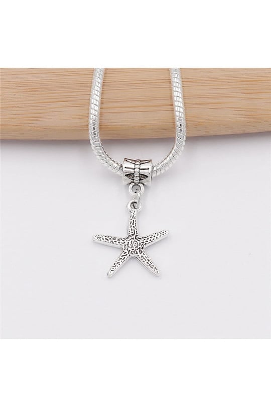 PANDORA CHARM BİLEKLİK UYUMLU GÜMÜŞ CHARM takıNM125