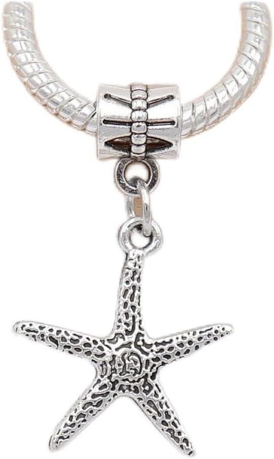 PANDORA CHARM BİLEKLİK UYUMLU GÜMÜŞ CHARM takıNM139