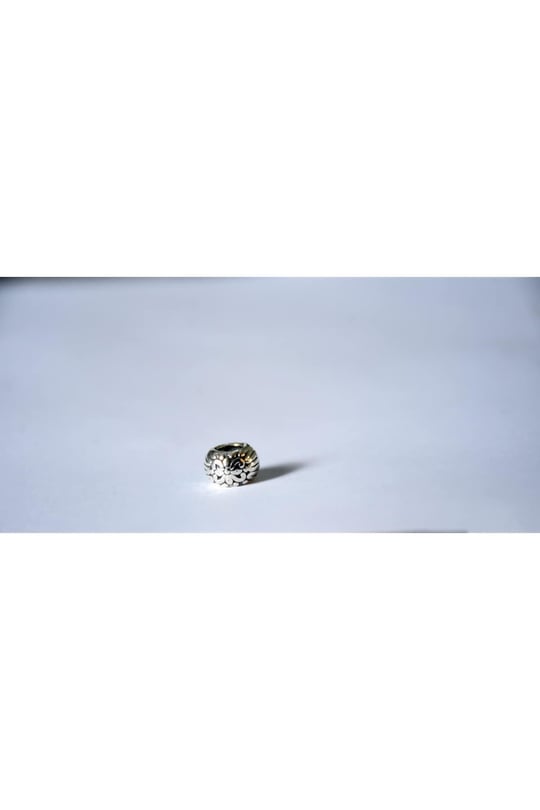 Pandora, Charm Bileklik Uyumlu, Gümüş, Charm takıNM300