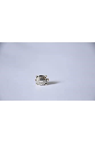 Pandora, Charm Bileklik Uyumlu, Gümüş, Charm takıNM298