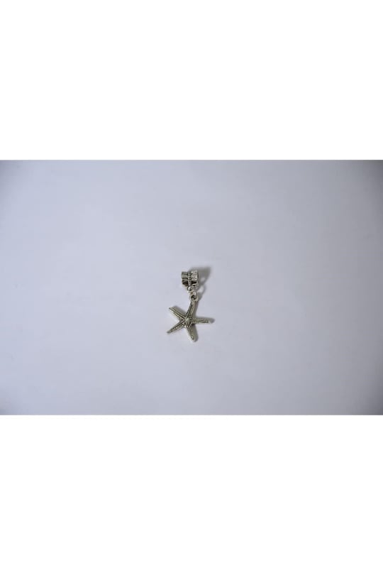 Pandora, Charm Bileklik Uyumlu, Gümüş, Charm takıNM151