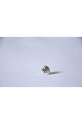 Pandora, Charm Bileklik Uyumlu, Gümüş, Charm takıNM260