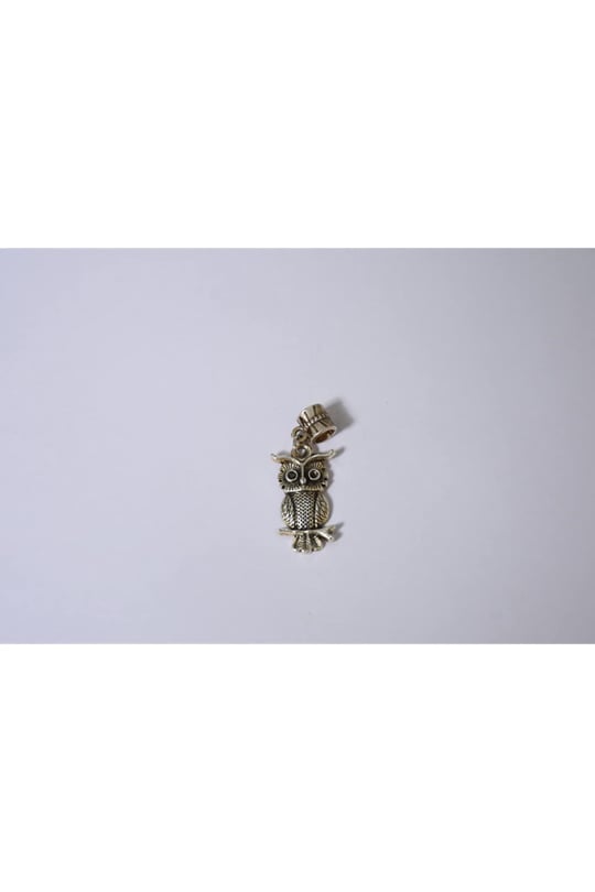 Pandora, Charm Bileklik Uyumlu, Gümüş, Charm takıNM250