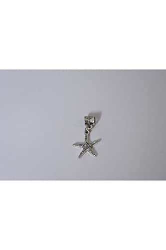Pandora, Charm Bileklik Uyumlu, Gümüş, Charm takıNM239