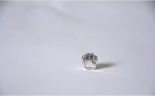 Pandora, Charm Bileklik Uyumlu, Gümüş, Charm takıNM254