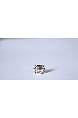 Pandora, Charm Bileklik Uyumlu, Gümüş, Charm takıNM283
