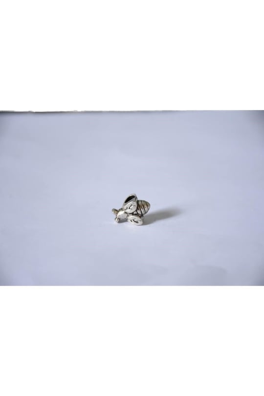 Pandora, Charm Bileklik Uyumlu, Gümüş, Charm takıNM189