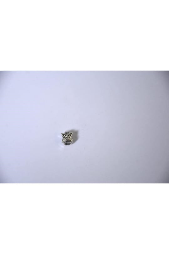 Pandora, Charm Bileklik Uyumlu, Gümüş, Charm takıNM238