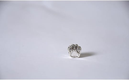 Pandora, Charm Bileklik Uyumlu, Gümüş, Charm takıNM254