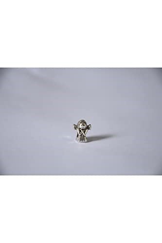 Pandora, Charm Bileklik Uyumlu, Gümüş, Charm takıNM223